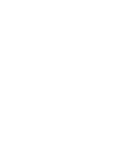 Zenvira Logo